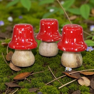 Pilz  Holz