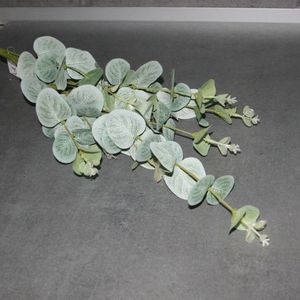 Eukalyptuszweig grün